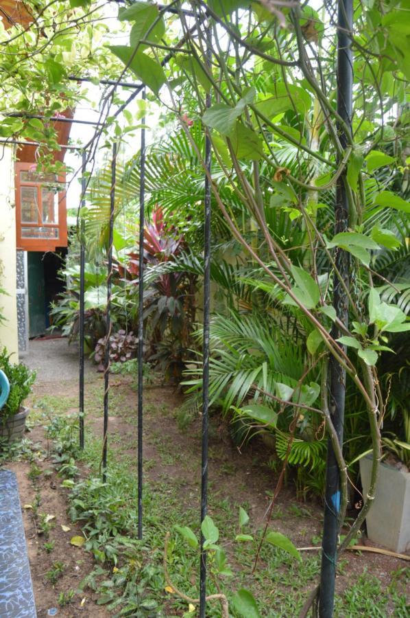 Familyhouse Lägenhet Negombo Exteriör bild