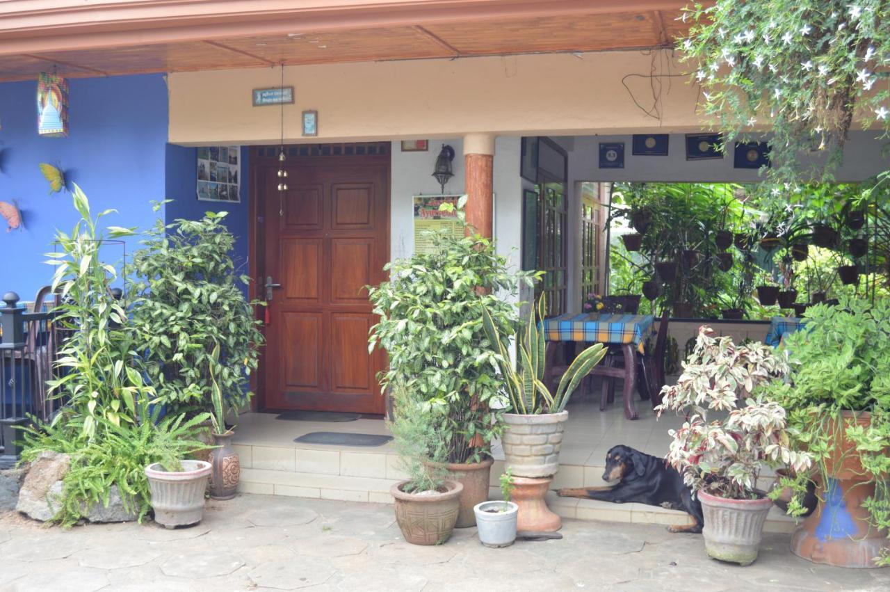 Familyhouse Lägenhet Negombo Exteriör bild