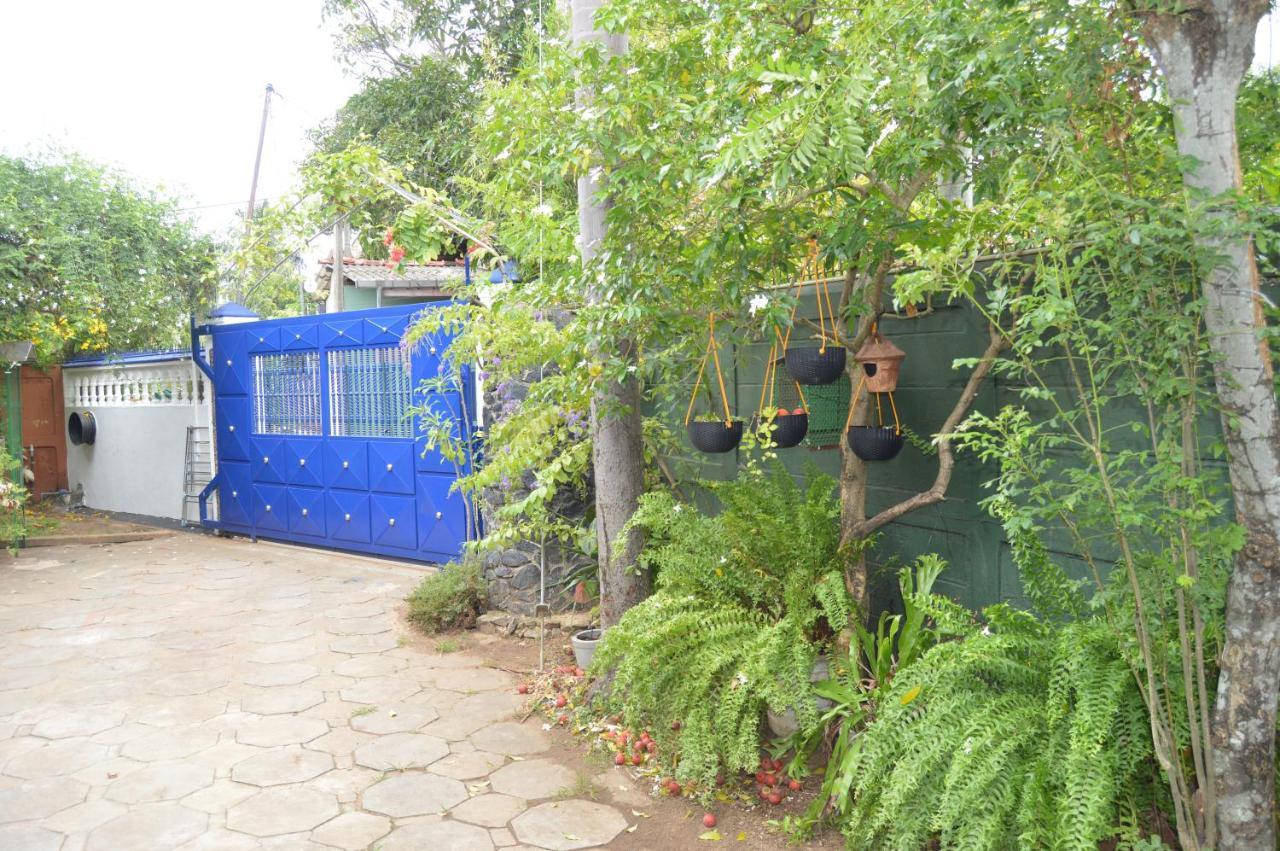 Familyhouse Lägenhet Negombo Exteriör bild